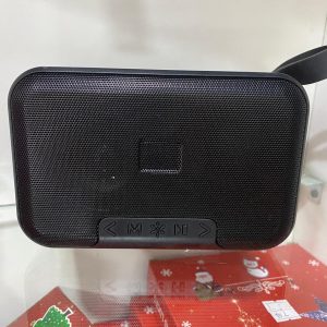PARLANTE CON RADIO