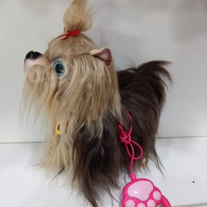 PERRO PELUDO QUE CAMINA