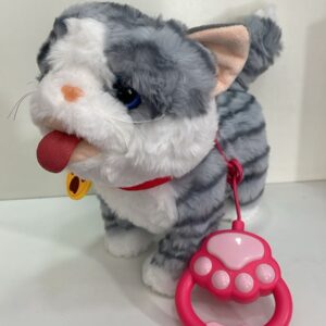 GATO QUE CAMINA