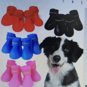 BOTAS PEQUEÑASA PARA PERRO