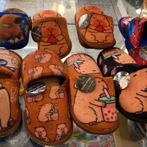 PANTUFLAS SENCILLAS PARA NIÑOS
